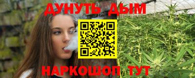 Альфа ПВП Ставрополь
