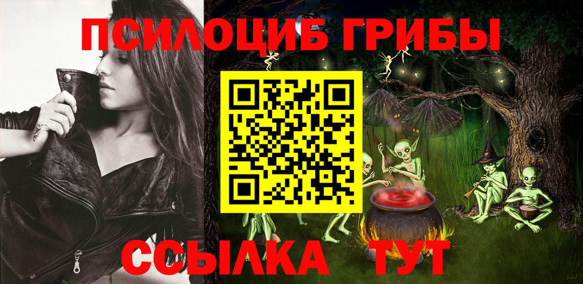 Псилоцибиновые грибы мицелий  Вход с VPN  Псилоцибиновые грибы MAGIC MUSHROOMS  дарнет шоп  Ногинск 